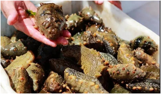 202110250820205793.png 202110250820205793.png